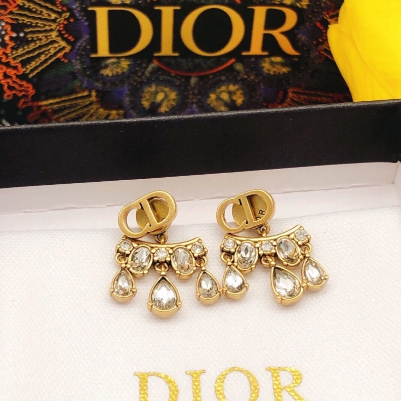 Christian Dxxr Earrings Bright 294498