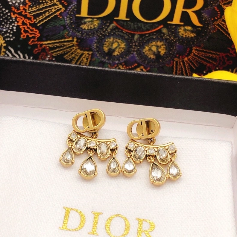 Christian Dxxr Earrings Bright 294498