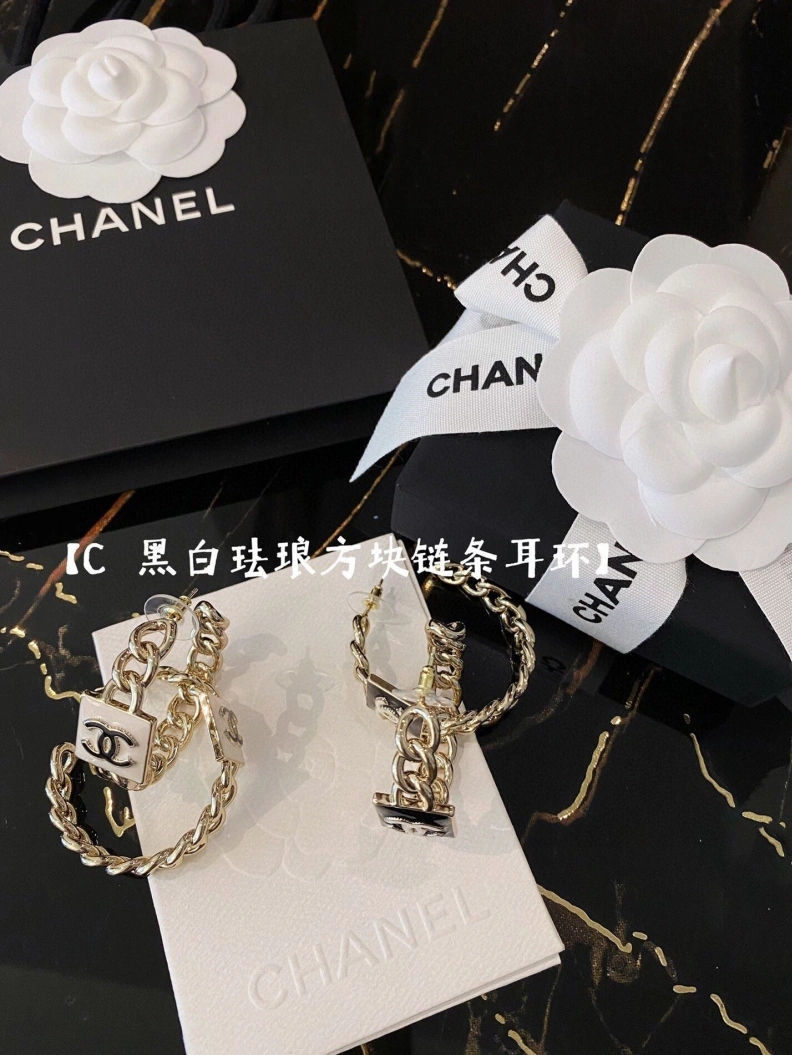 Chxnxl Earrings Elegant 287330