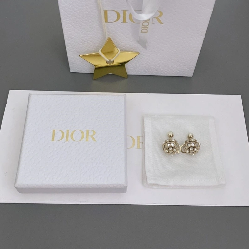 Christian Dxxr Earrings Lightweight 294499