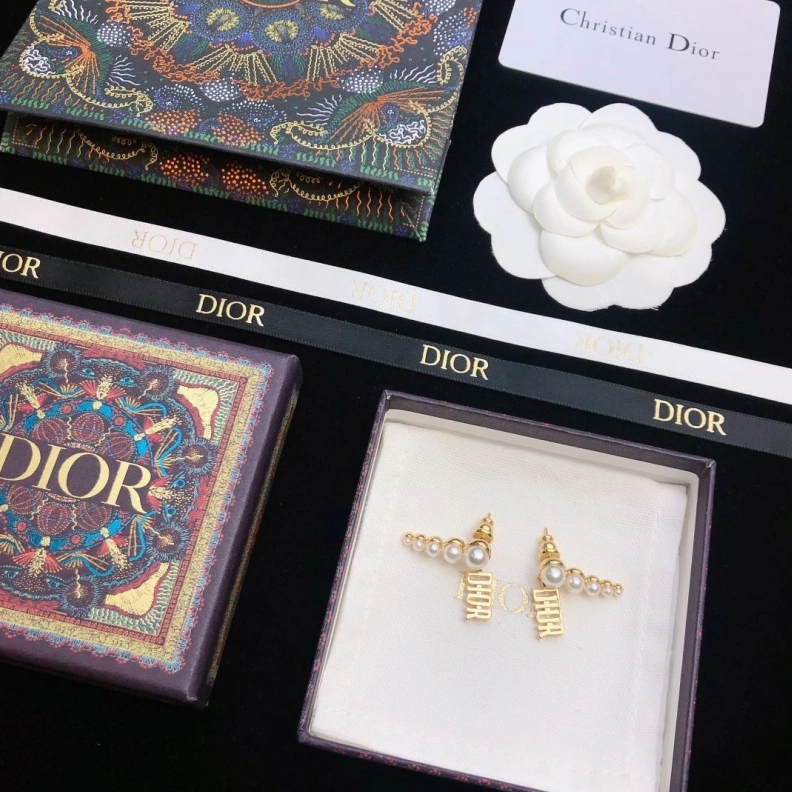 Christian Dxxr Earrings Affordable 294494