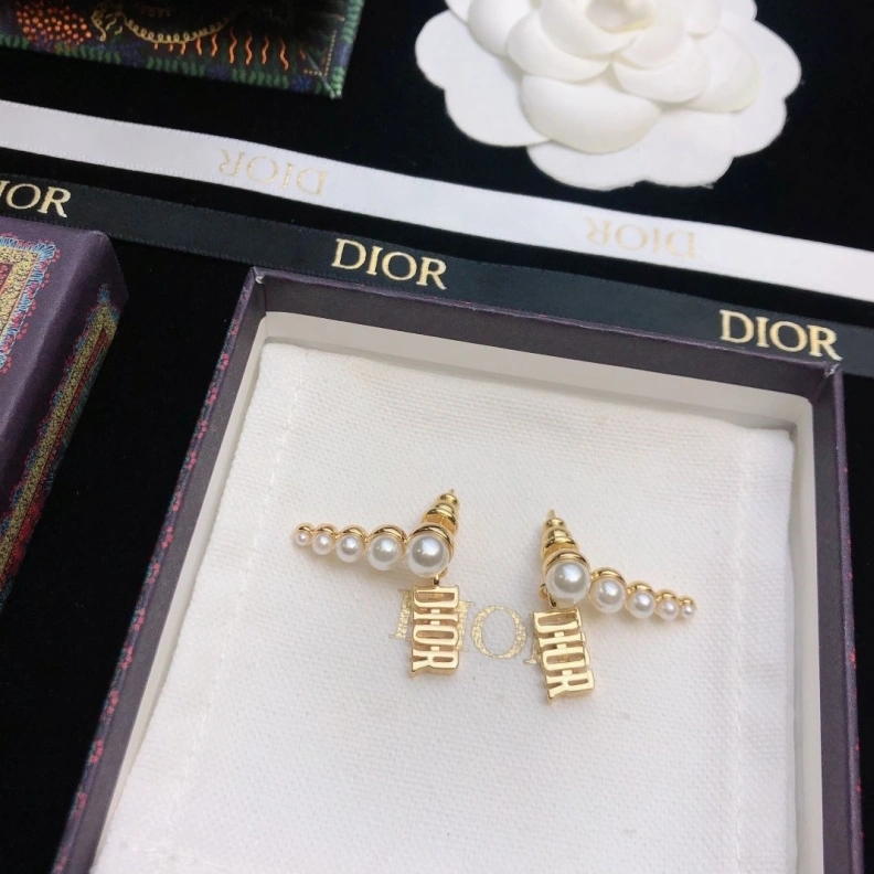 Christian Dxxr Earrings Affordable 294494