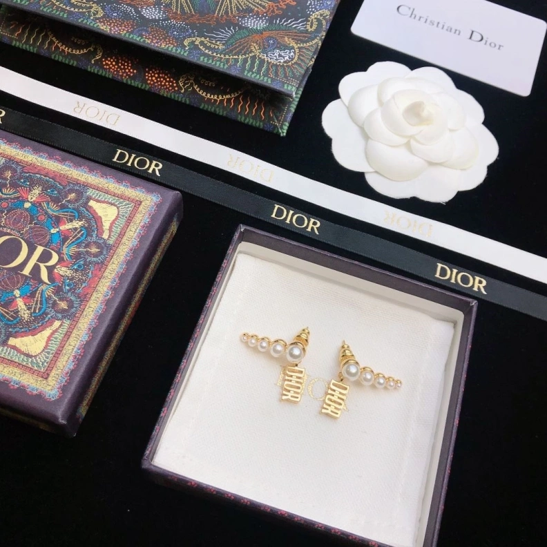 Christian Dxxr Earrings Affordable 294494
