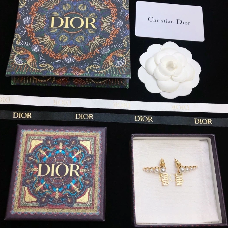 Christian Dxxr Earrings Affordable 294494