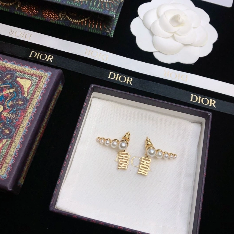 Christian Dxxr Earrings Affordable 294494
