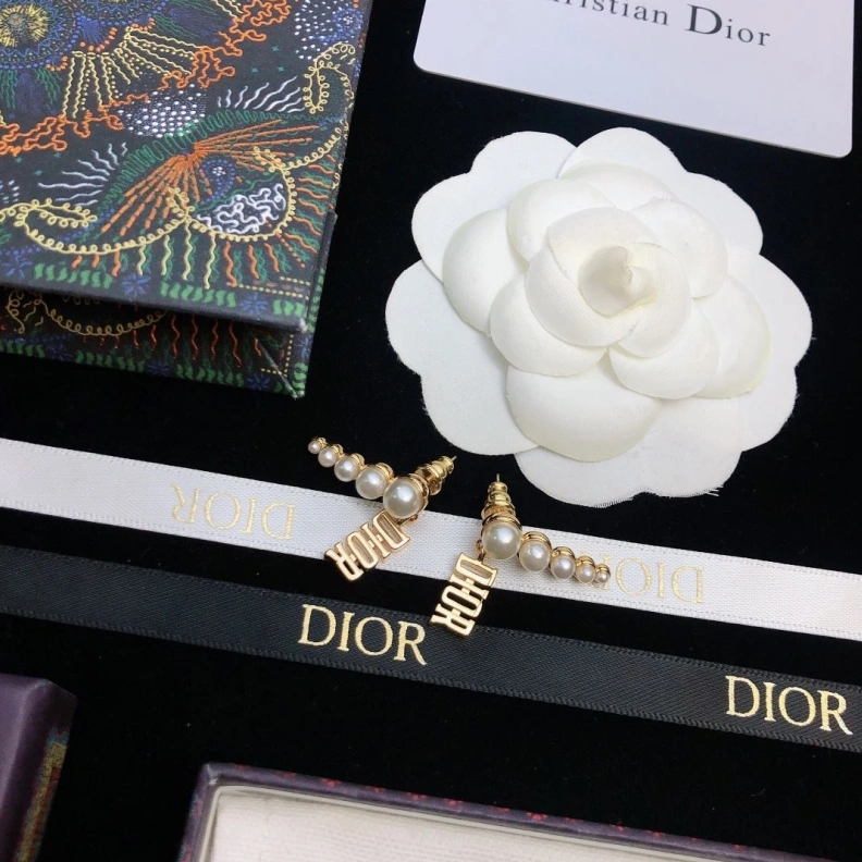 Christian Dxxr Earrings Affordable 294494