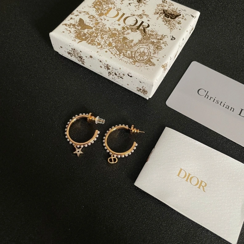 Christian Dxxr Earrings Flexible 294491