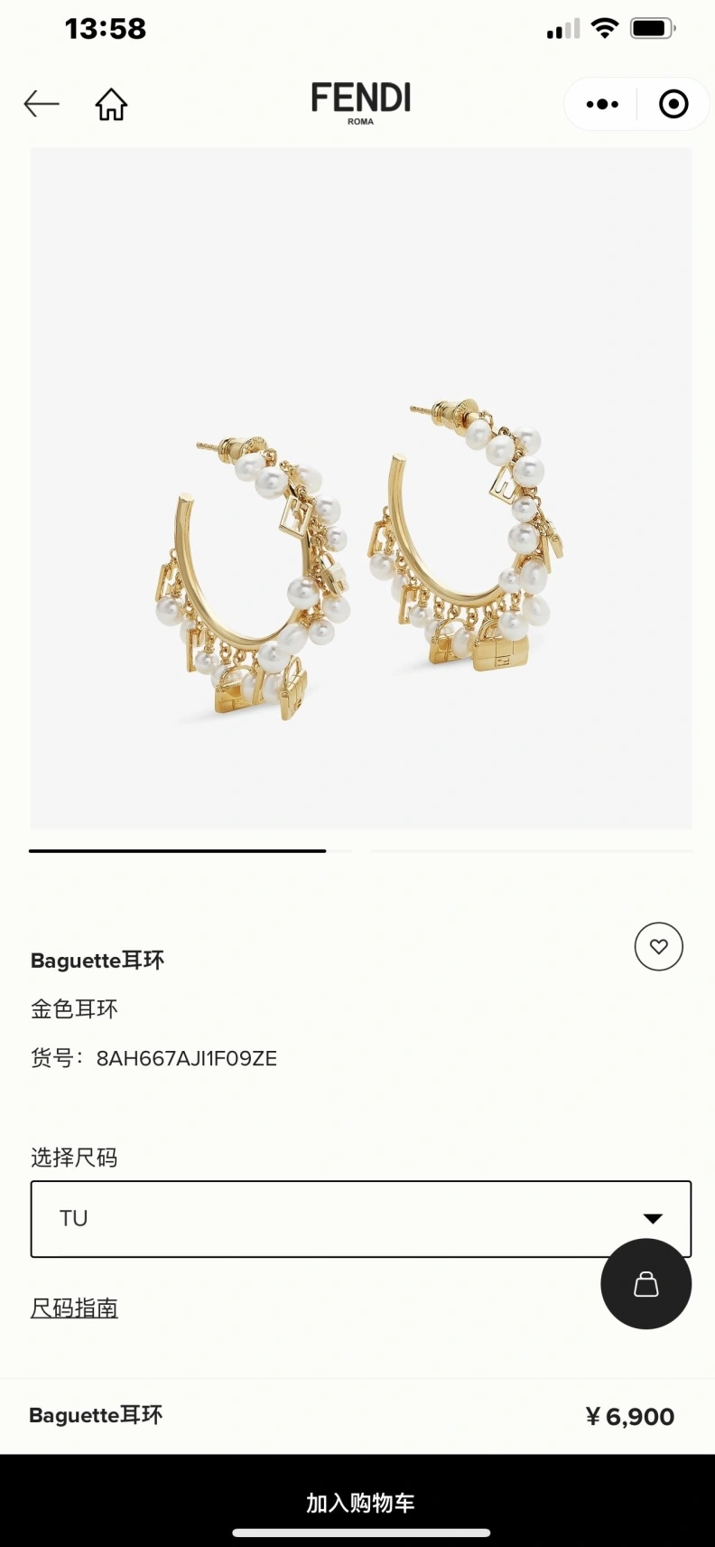 Cozy FXNDX 313565