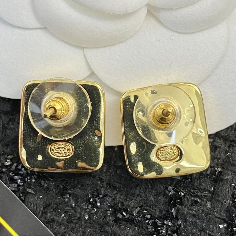 Chxnxl Earrings Elegant 287271