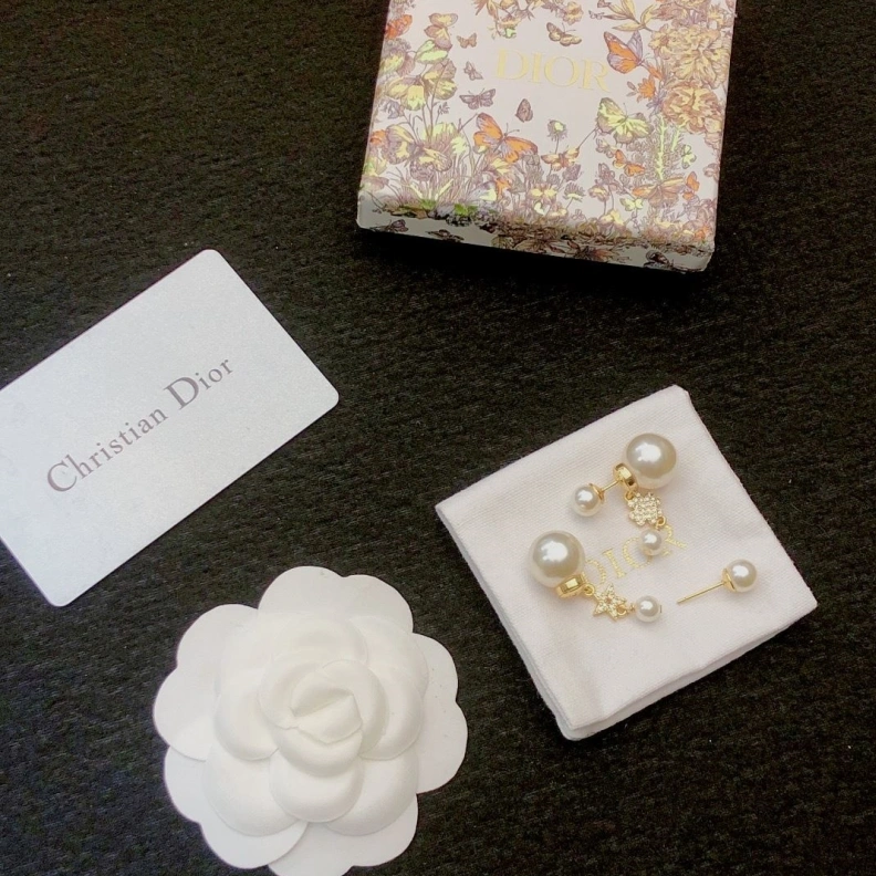 Christian Dxxr Earrings Breathable 294489