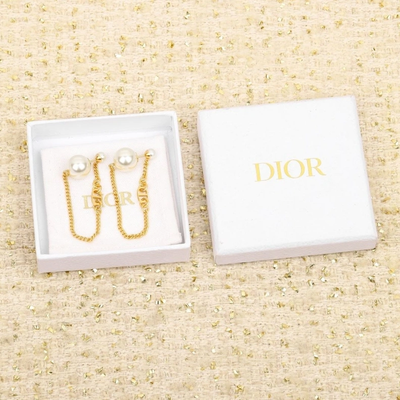 Christian Dxxr Earrings Classic 294485