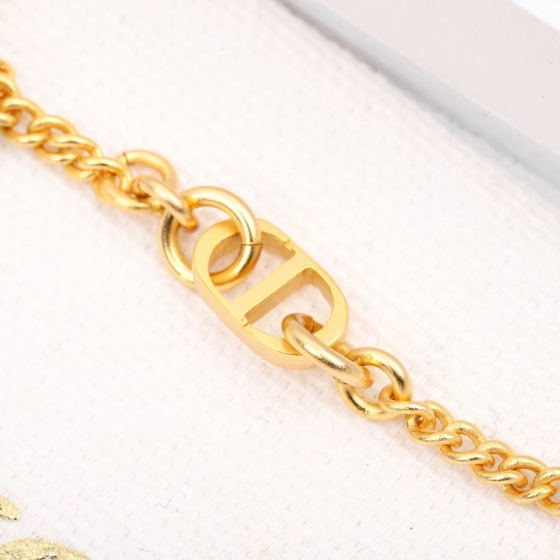Christian Dxxr Earrings Classic 294485