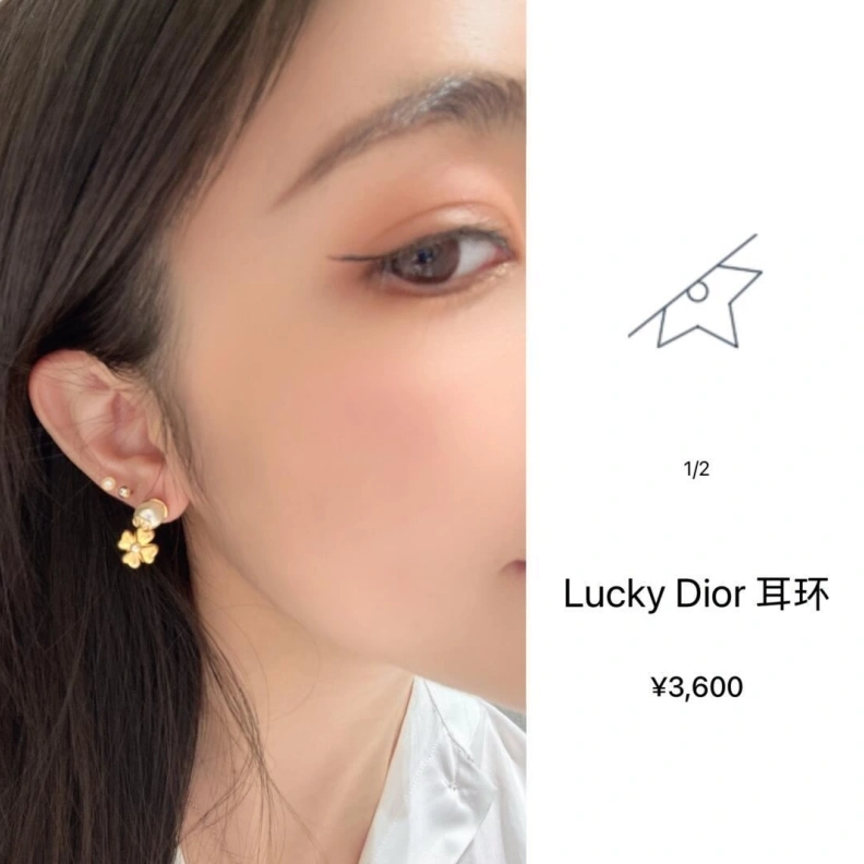 Christian Dxxr Earrings Reliable 294482
