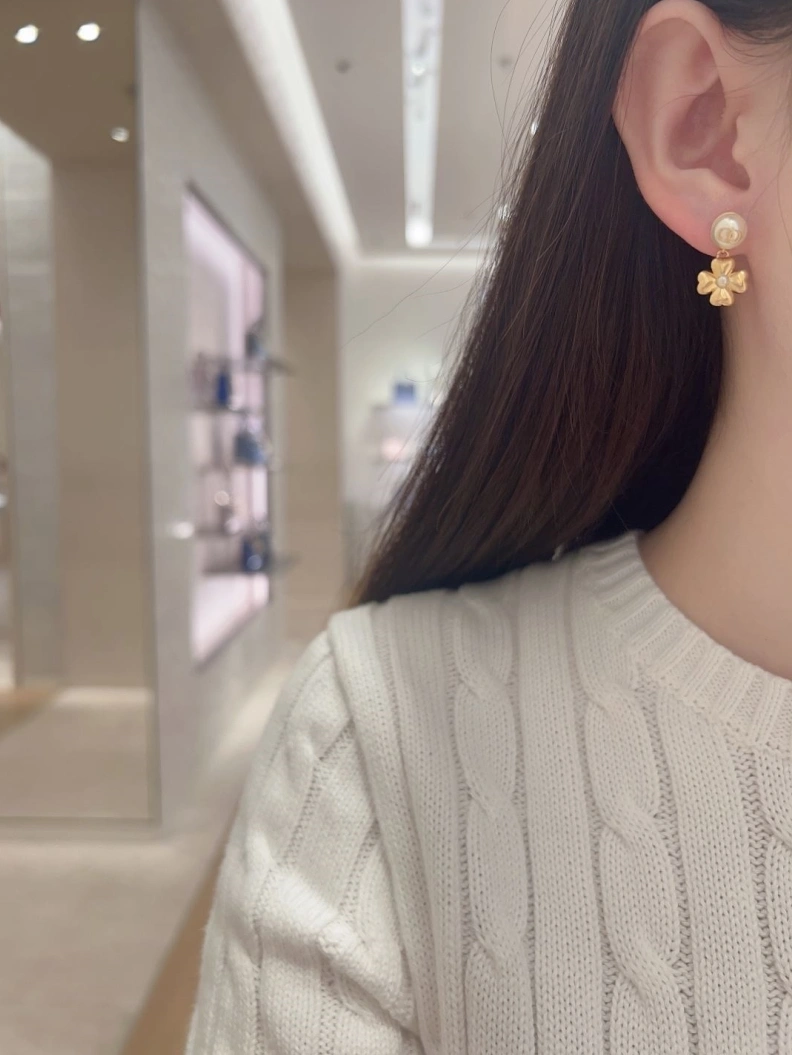 Christian Dxxr Earrings Reliable 294482