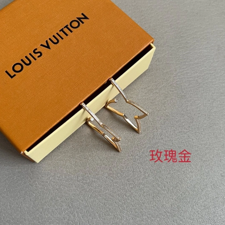 LX Earrings HighQuality 309421