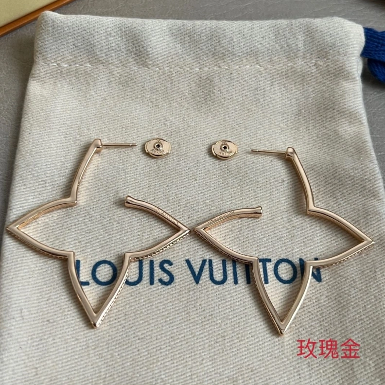 LX Earrings HighQuality 309421