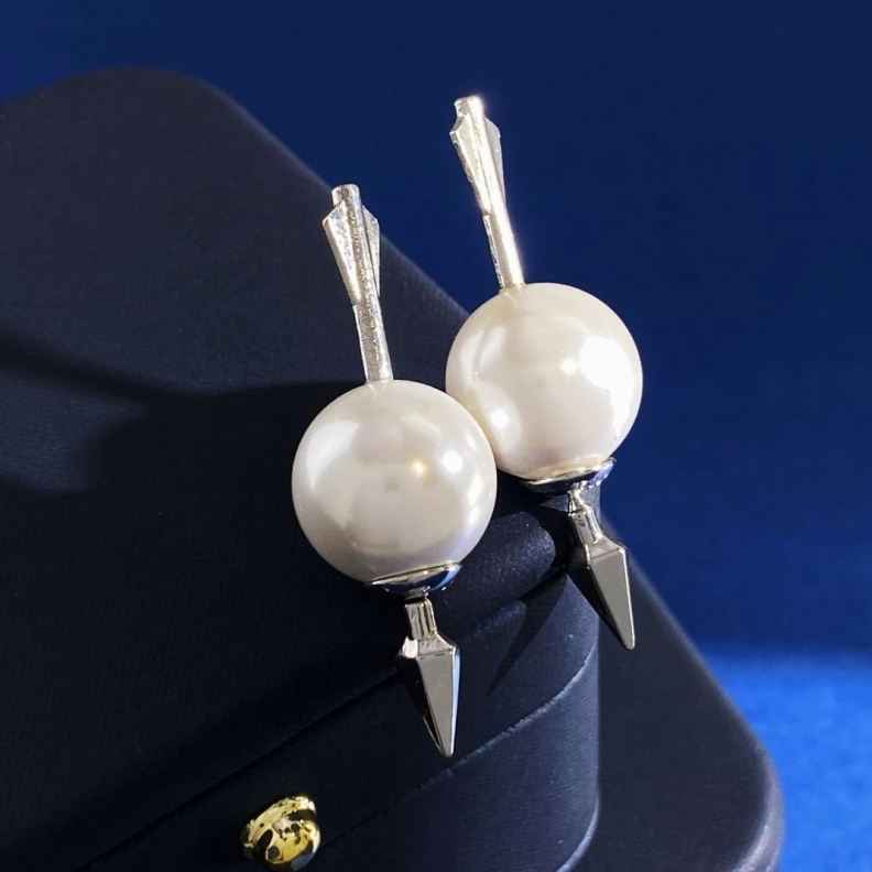 Christian Dxxr Earrings Popular 294477
