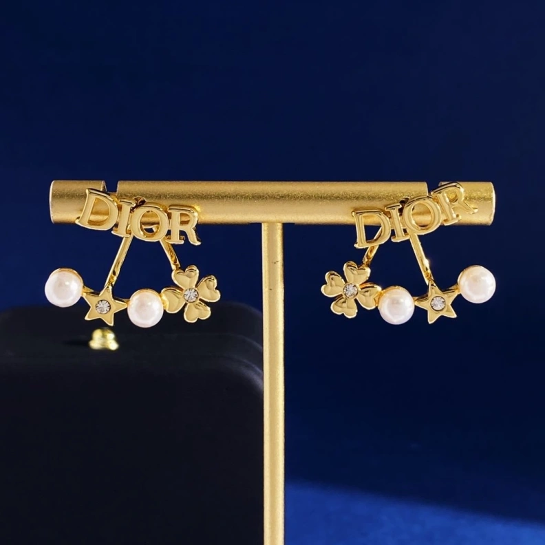 Christian Dxxr Earrings Stylish 294474