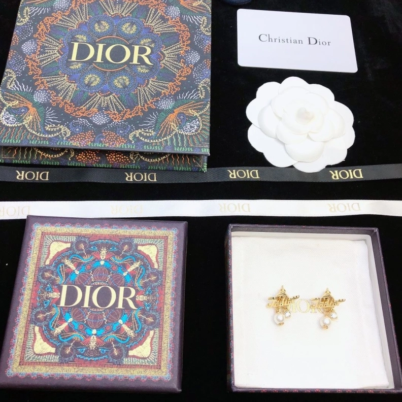 Christian Dxxr Earrings Lightweight 294453