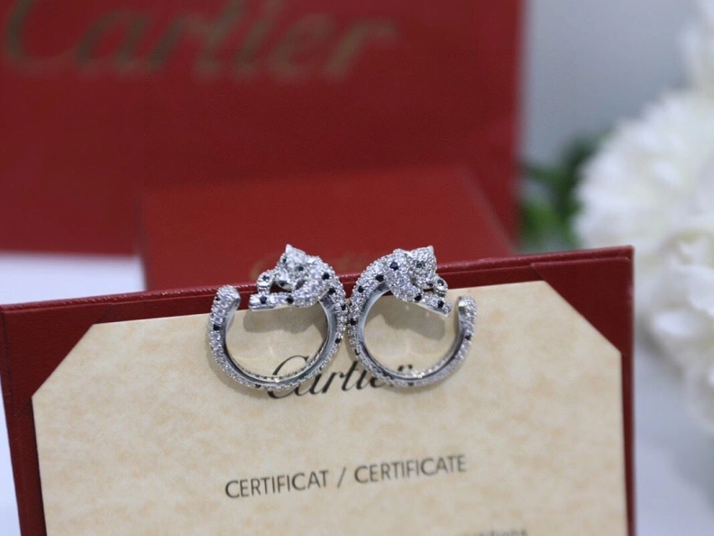 Comfortable Cxrtxer Earrings 283184