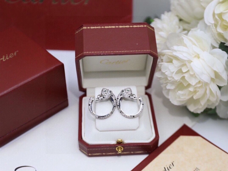 Comfortable Cxrtxer Earrings 283184