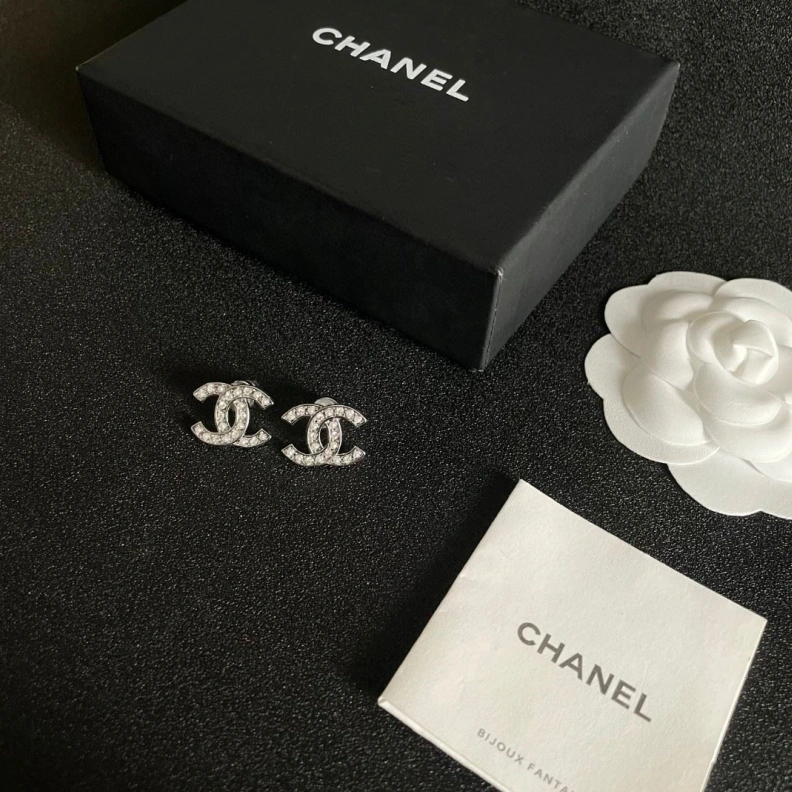 UrbanStyle Chxnxl Earrings 287054