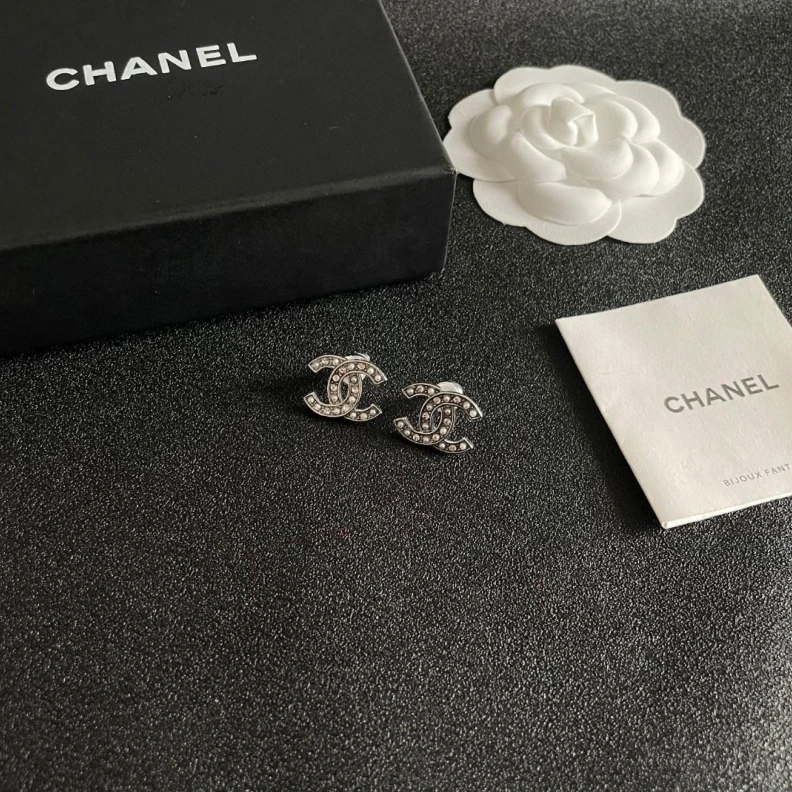 UrbanStyle Chxnxl Earrings 287054