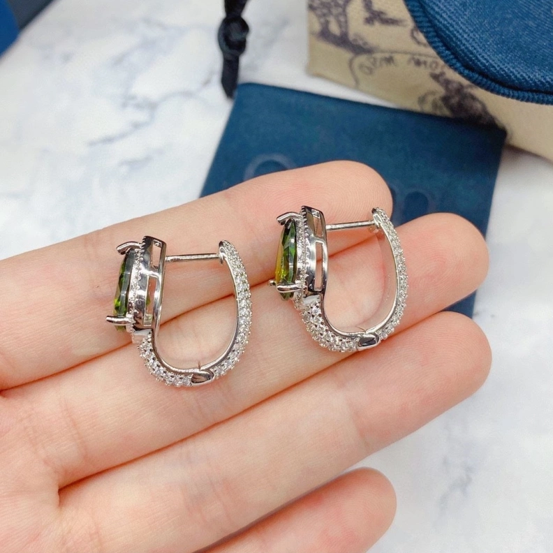 UrbanStyle Axm Earrings 281456