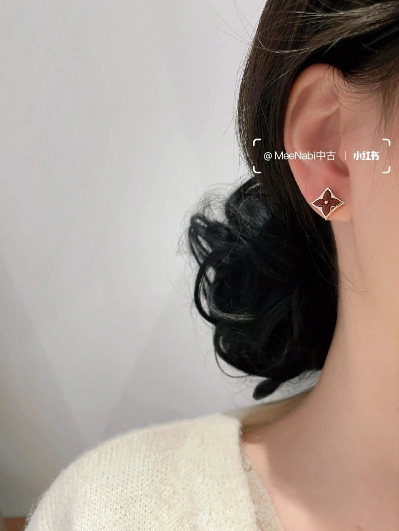LX Earrings AllSeason 309058