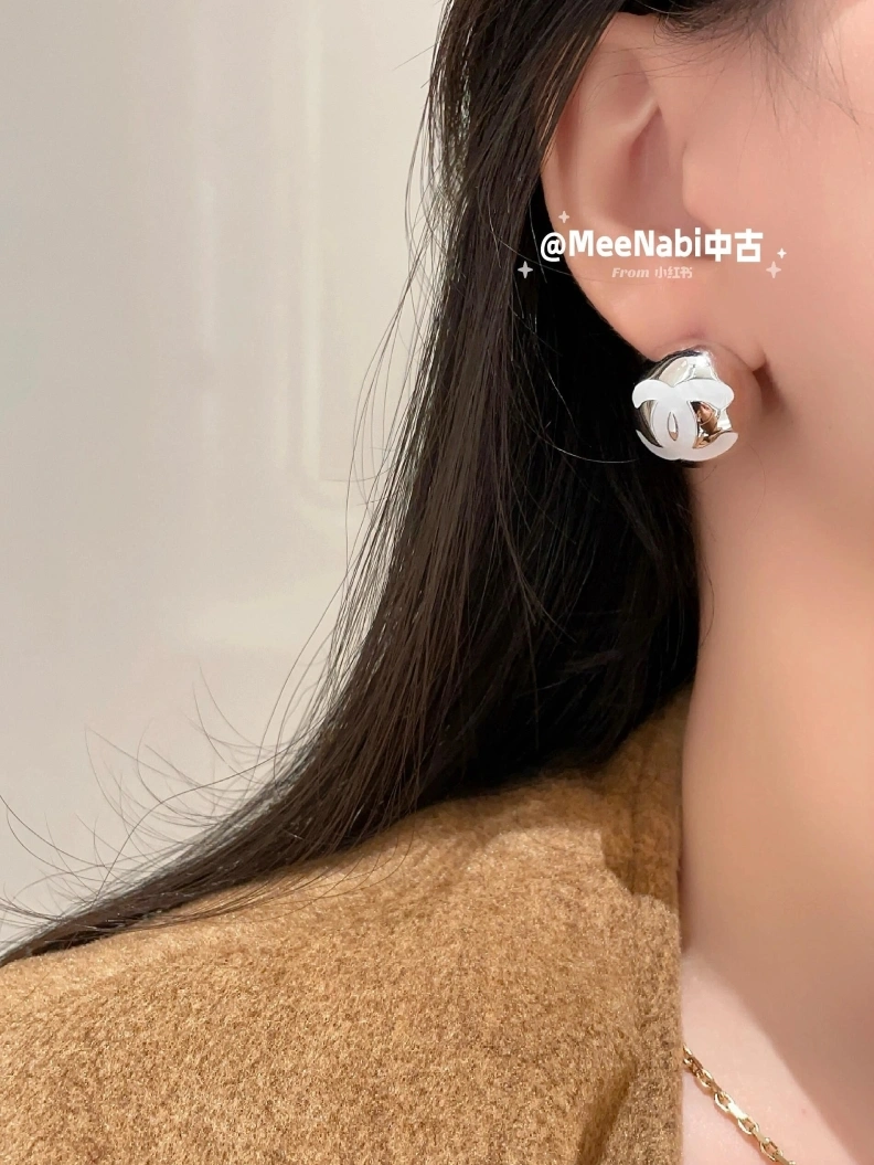 GoAnywhere Chxnxl Earrings 286258