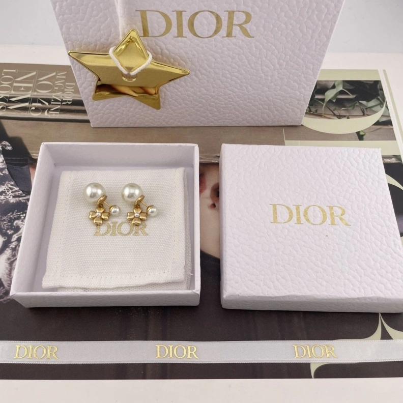 Christian Dxxr Earrings Minimalist 294240