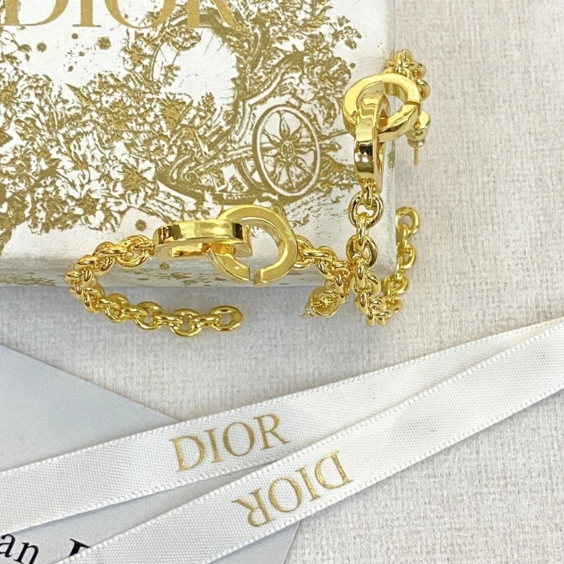 Christian Dxxr Earrings Lightweight 294253