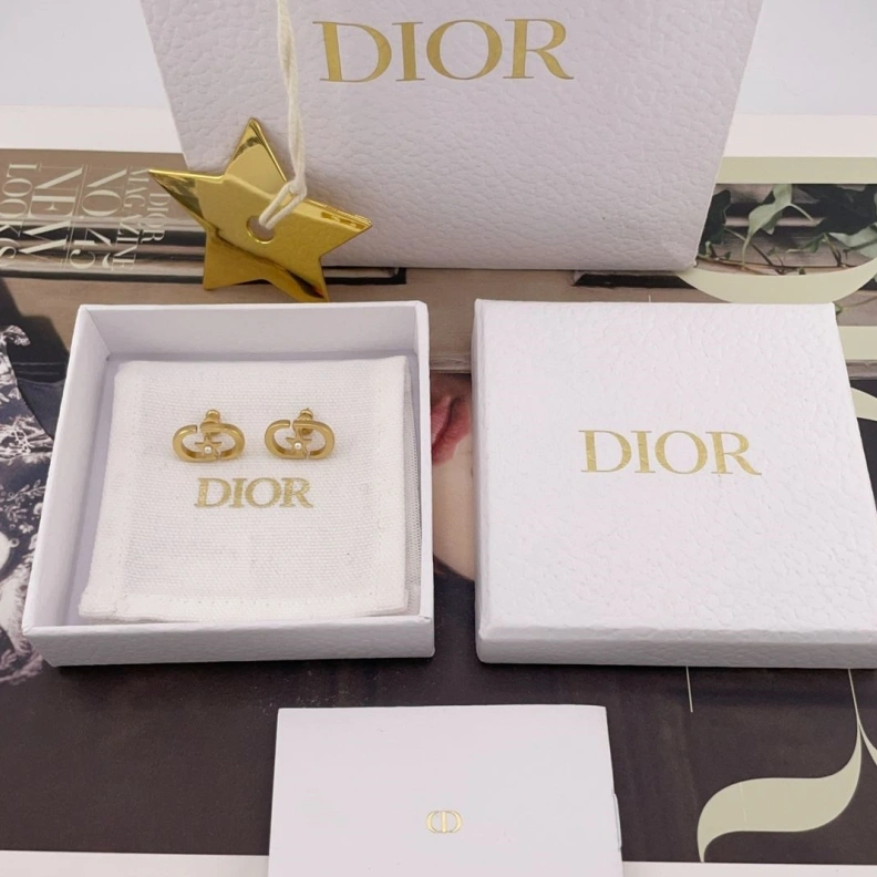 Christian Dxxr Earrings Elegant 294234