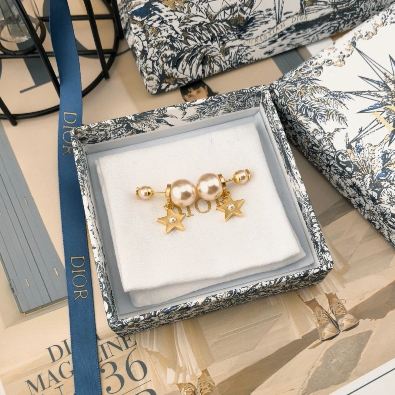 Christian Dxxr Earrings Lightweight 294250