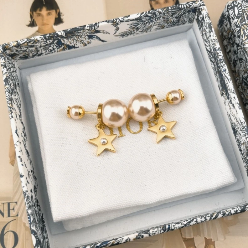 Christian Dxxr Earrings Lightweight 294250