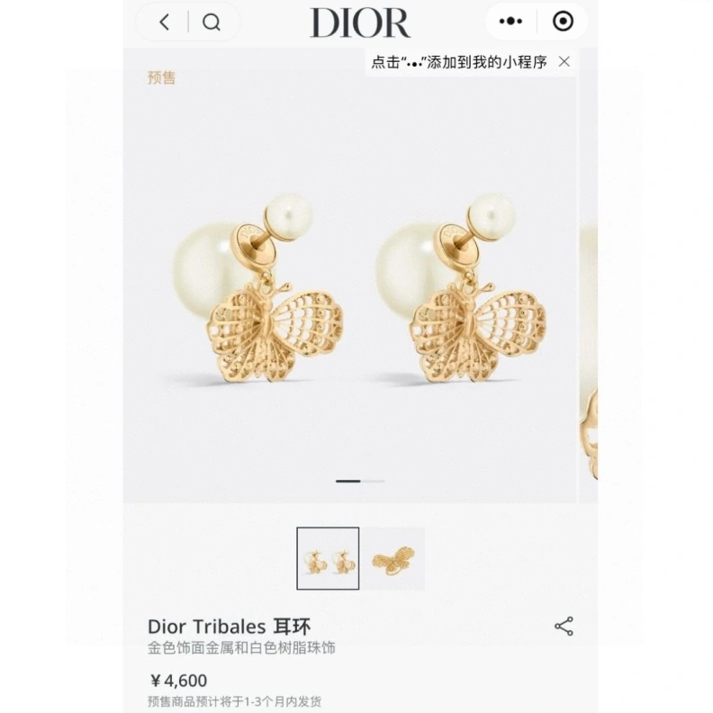 Soft Christian Dxxr Earrings 294230