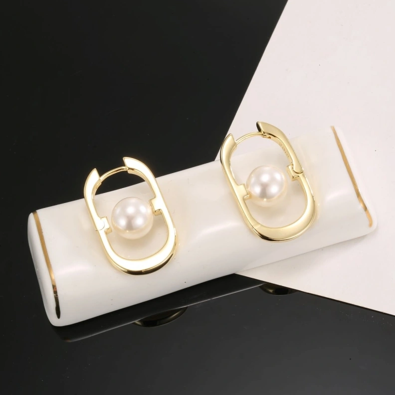 Christian Dxxr Earrings HighQuality 294229