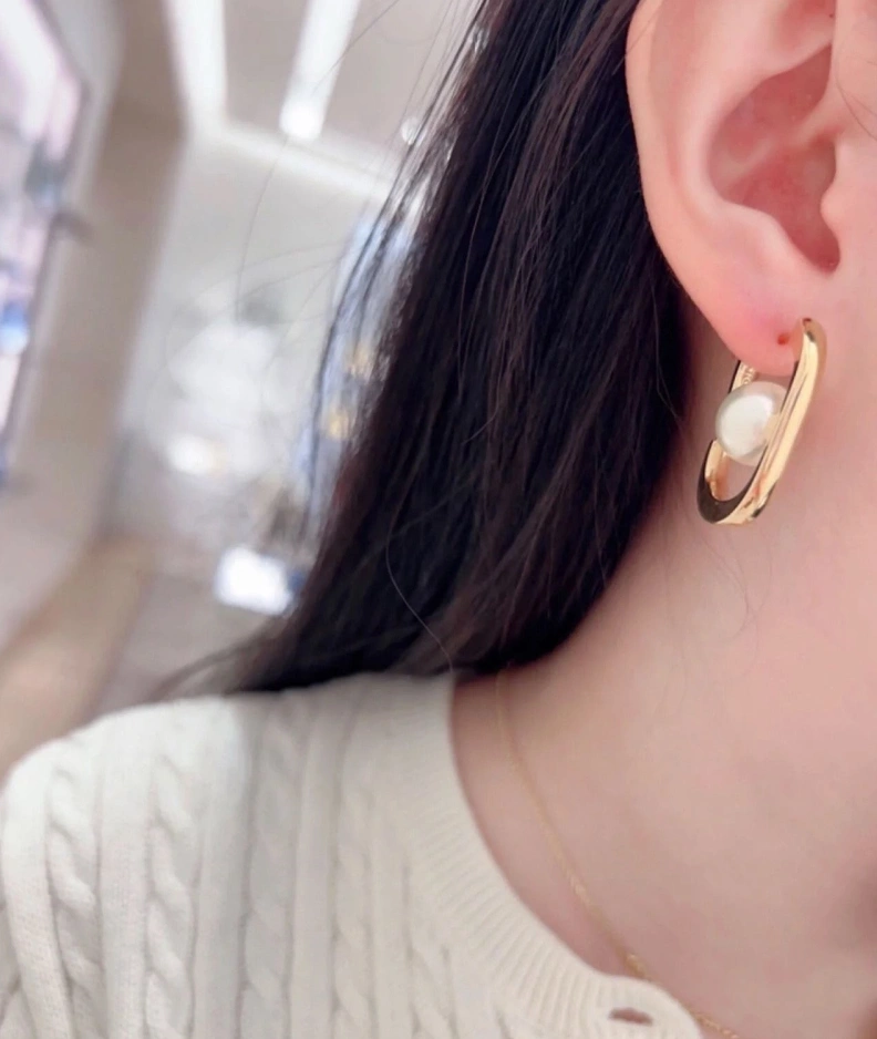 Christian Dxxr Earrings HighQuality 294229