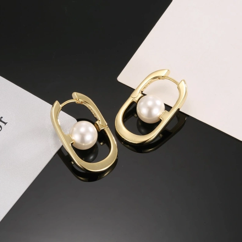 Christian Dxxr Earrings HighQuality 294229