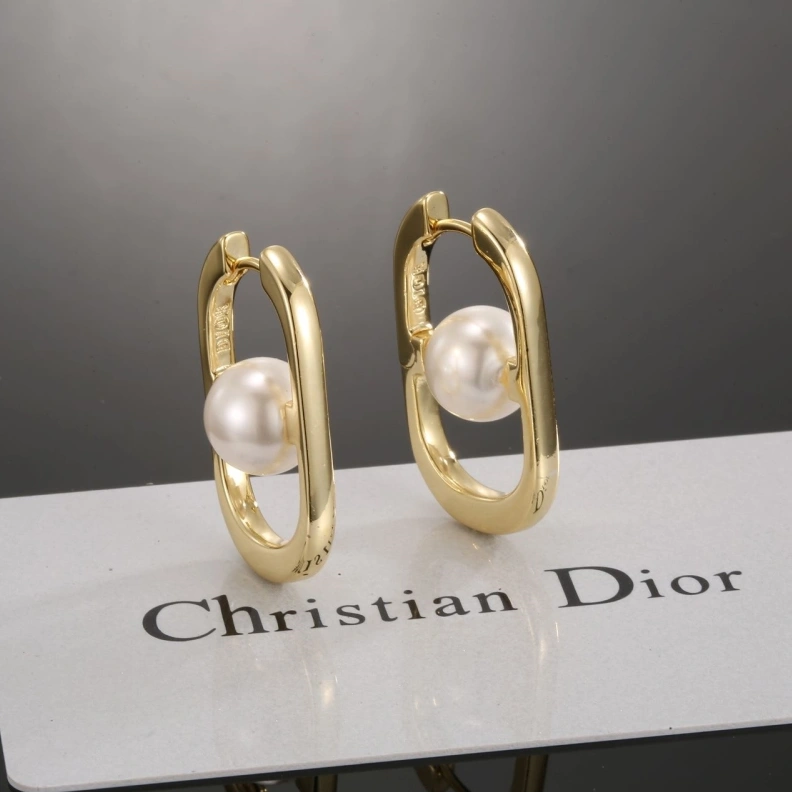 Christian Dxxr Earrings HighQuality 294229