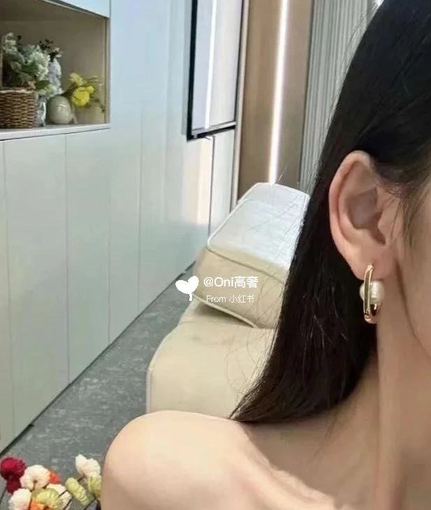 Christian Dxxr Earrings HighQuality 294229
