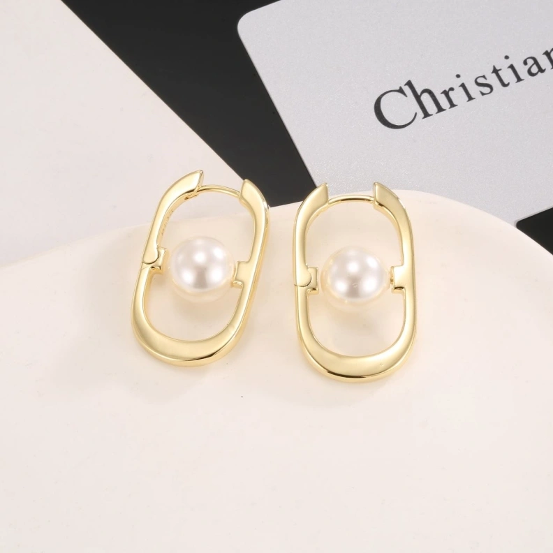 Christian Dxxr Earrings HighQuality 294229