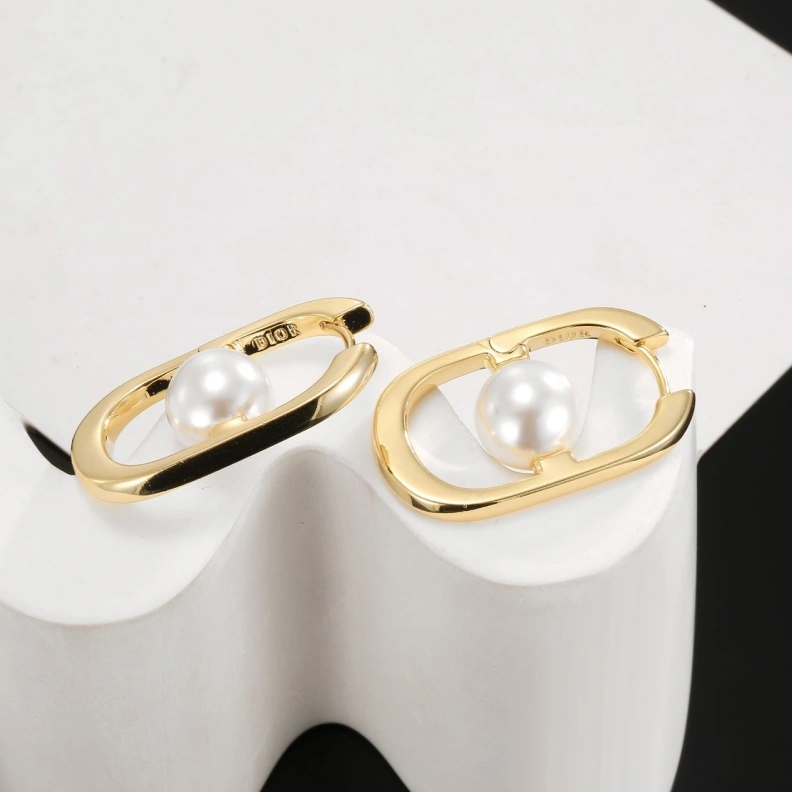 Christian Dxxr Earrings HighQuality 294229