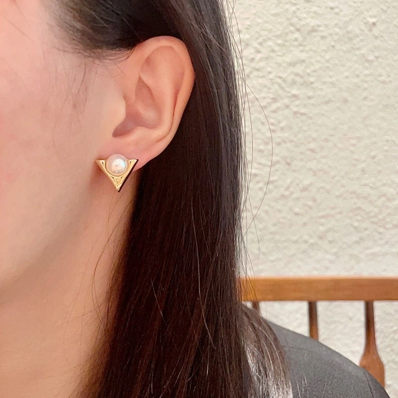 DailyWear LX Earrings 309017