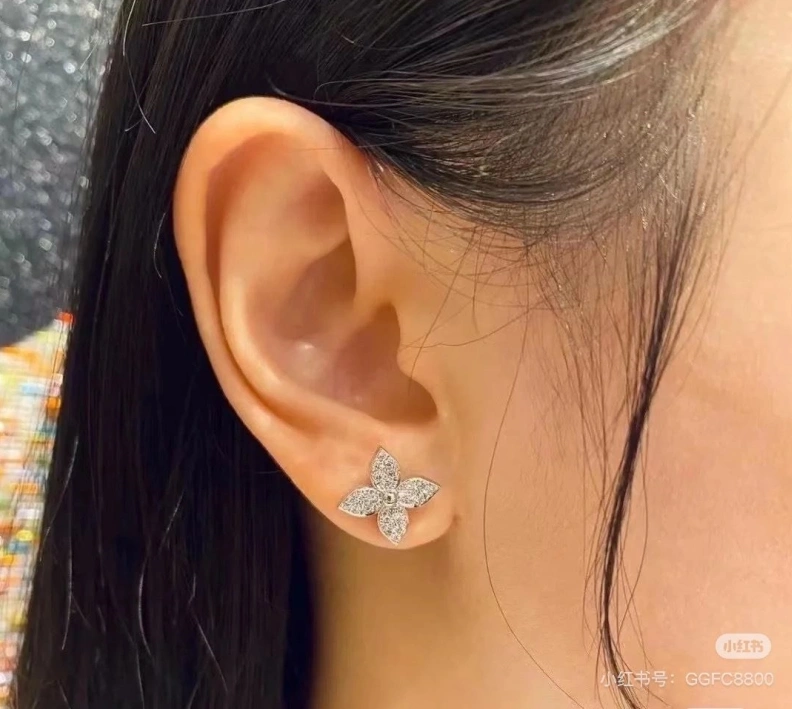 Stylish LX Earrings 309015