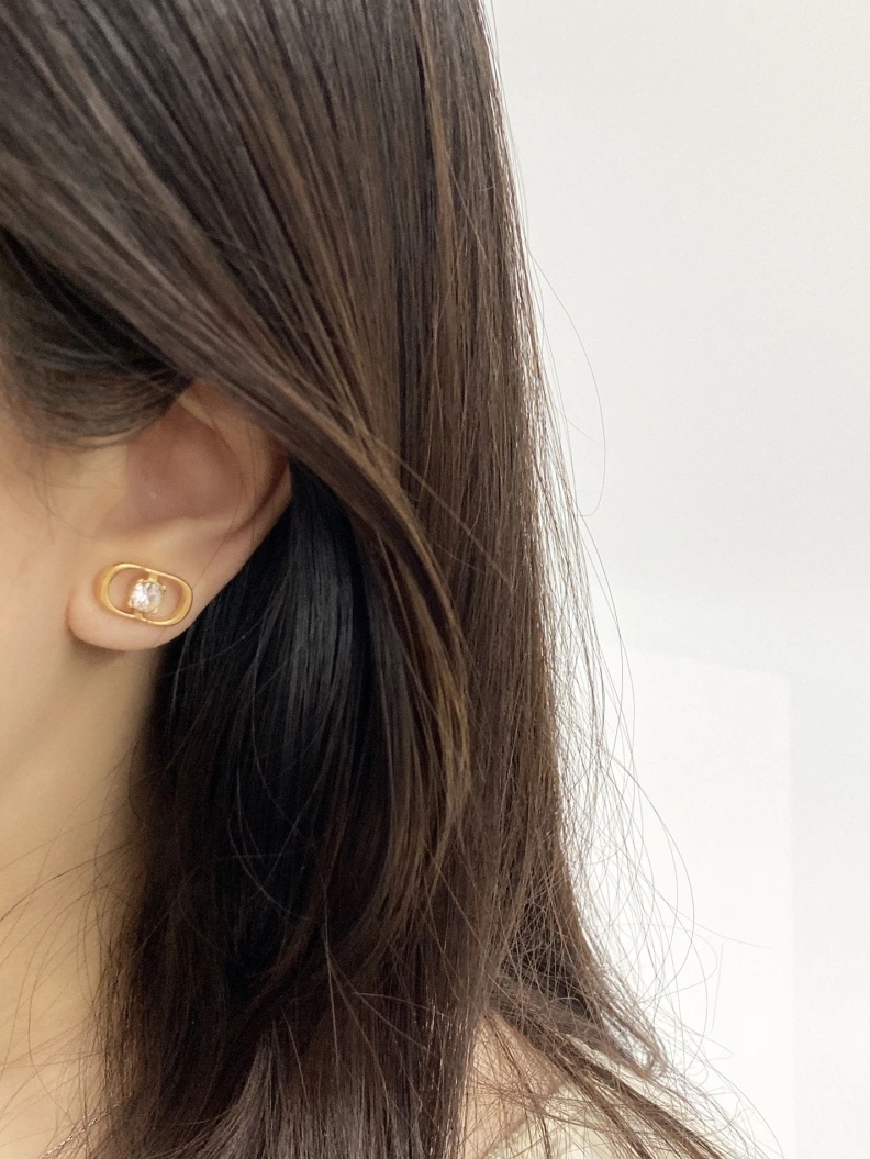 Christian Dxxr Earrings Classic 294224