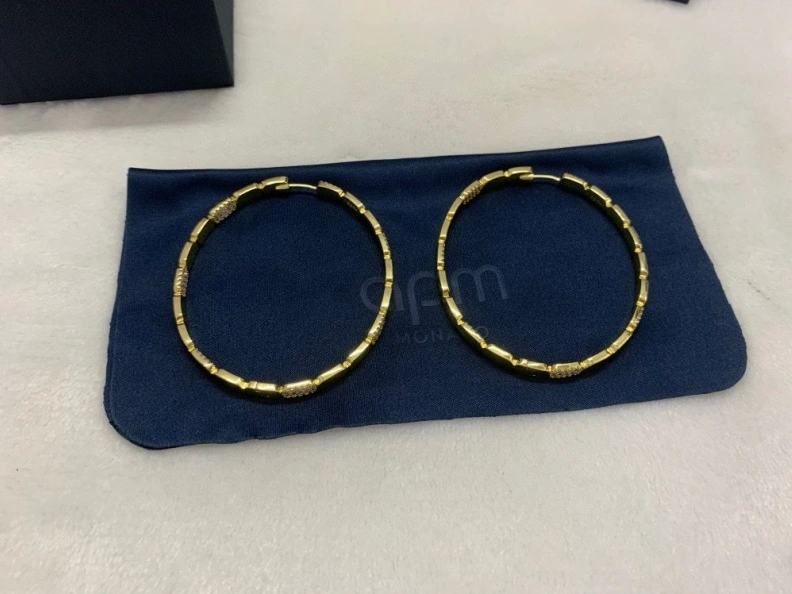 Axm Earrings GoAnywhere 281393