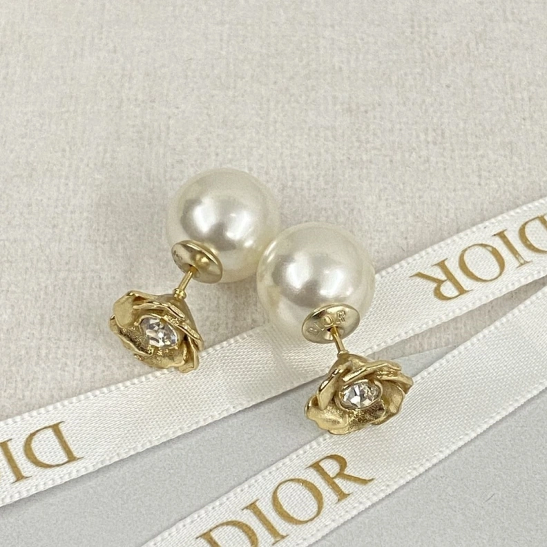 Christian Dxxr Earrings HighQuality 294215