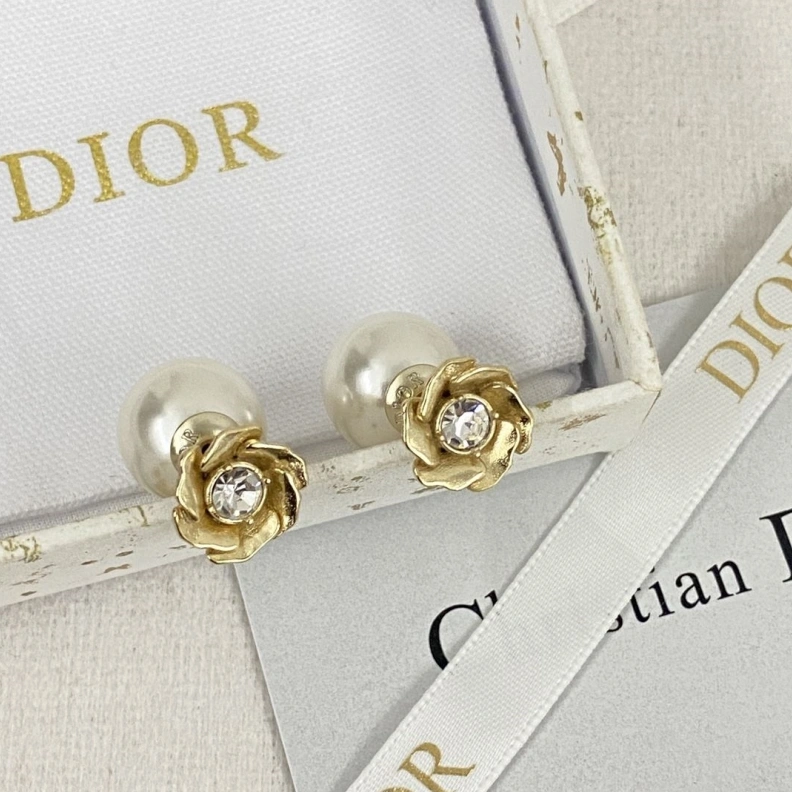 Christian Dxxr Earrings HighQuality 294215