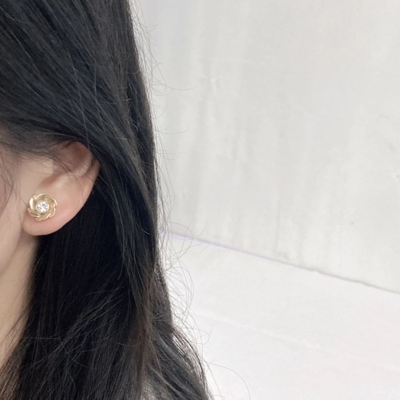 Christian Dxxr Earrings HighQuality 294215